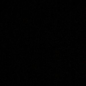 Kamille - Overnight Shipping